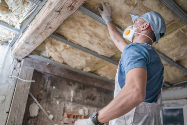 Best Residential Insulation in Quincy, MI