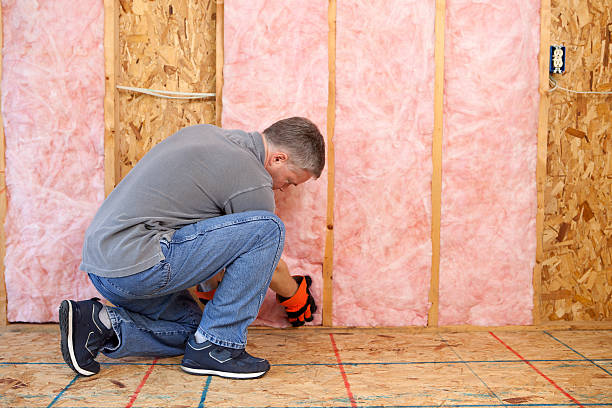 Best Cellulose Insulation in Quincy, MI